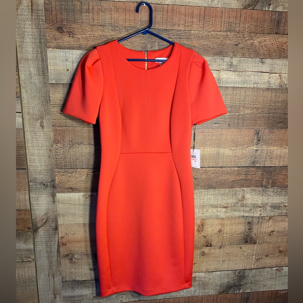 Calvin Klein Tulip Sleeve Dress